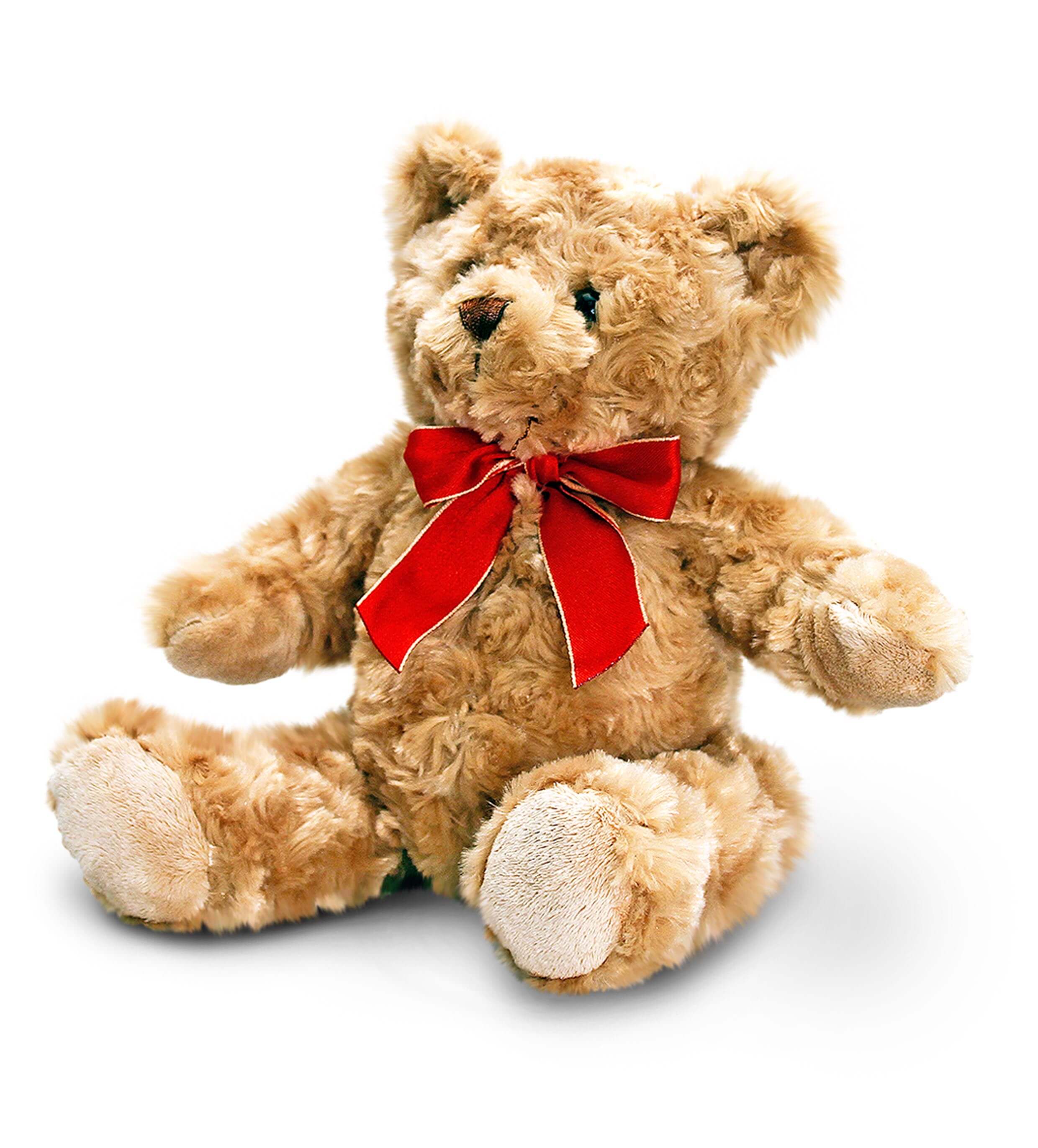 hugfun valentines bear