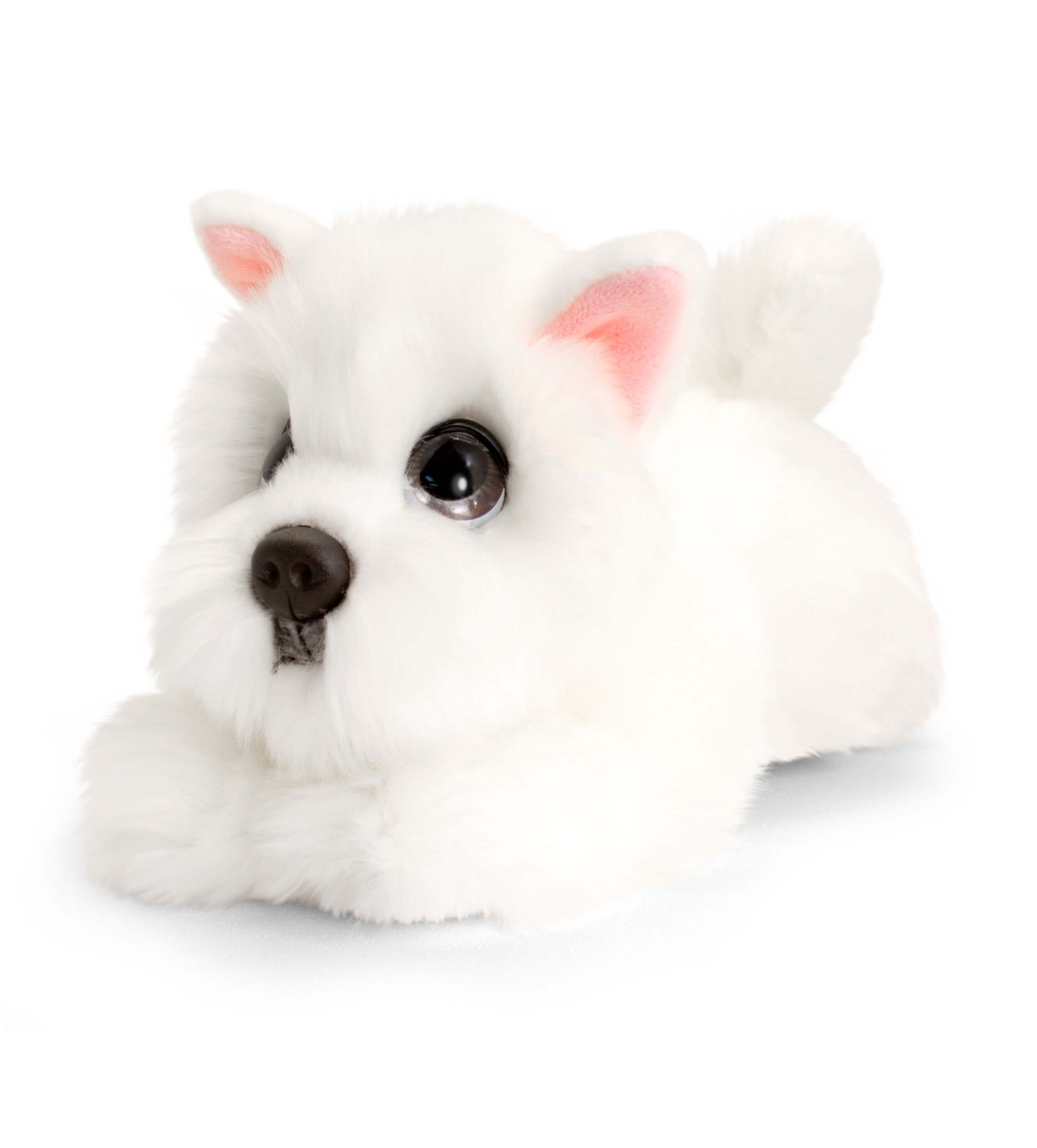 cuddly puppy toy